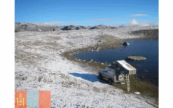 Gordigear Dachzelt Plus Für 4 Personen Mit Staufläche 180 X 320 Cm Grün -ZeltTraum Deutschland Verkaufs-Shop 585655 3986347