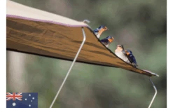 Gordigear Dachzelt 140 Plus Für 2 Personen Mit Vorzelt 140 X 320 Cm Grün -ZeltTraum Deutschland Verkaufs-Shop 737393 4968680